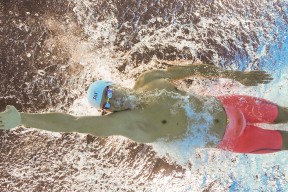 塞内加尔男篮在非洲锦标赛中夺冠，扬名非洲篮球新力量，塞内加尔在非洲算什么水平