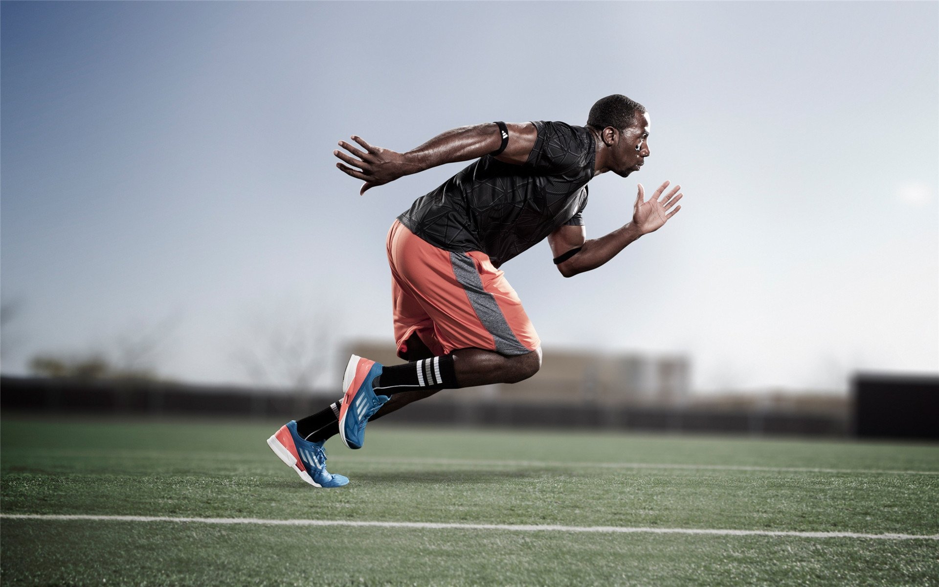 南非橄榄球吸引大量投资,商业化前景看好,南非橄榄球种族歧视现象